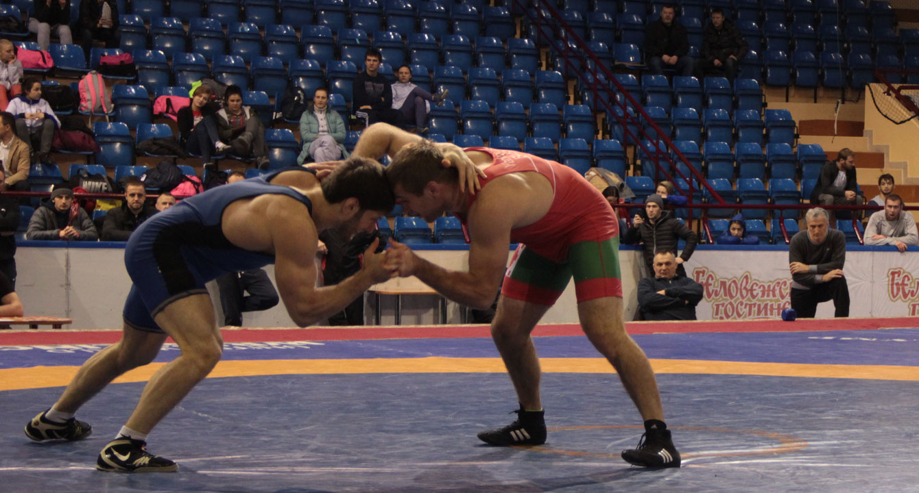 РЕЗУЛЬТАТЫ ЧЕМПИОНАТА РЕСПУБЛИКИ БЕЛАРУСЬ ПО ВОЛЬНОЙ БОРЬБЕ